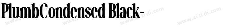 PlumbCondensed Black字体转换